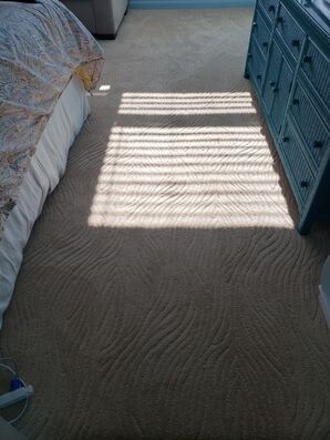 Carpet Cleaning & Sanitizing in Lauderdale By The Sea, FL (4)