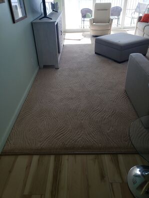 Carpet Cleaning & Sanitizing in Lauderdale By The Sea, FL (1)