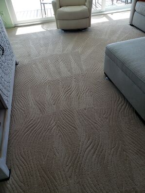 Carpet Cleaning & Sanitizing in Lauderdale By The Sea, FL (2)