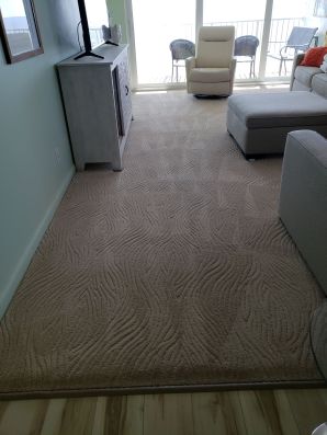 Carpet Cleaning in Pompano Beach, FL (2)