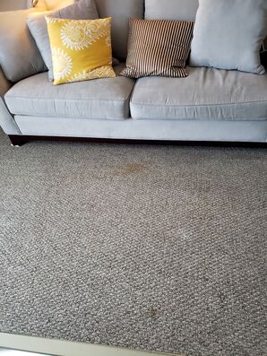 Before & After Carpet Stain Removal & Sanitizing in Lauderdale by the Sea, FL (1)