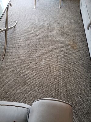 Before & After Carpet Stain Removal & Sanitizing in Lauderdale by the Sea, FL (2)