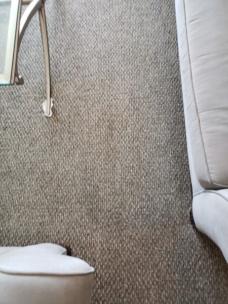 Before & After Carpet Stain Removal & Sanitizing in Lauderdale by the Sea, FL (3)