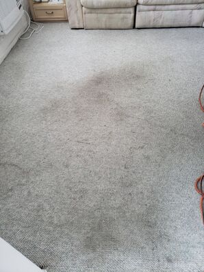 Residential Carpet Cleaning & Sanitizing in FT. Lauderdale, FL (1)