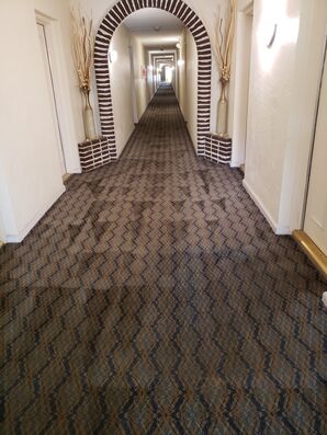 Commercial Carpet Cleaning in Pompano, FL (2)