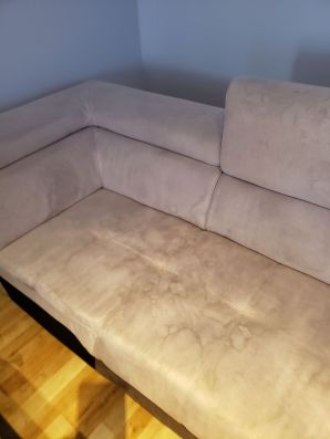Upholstery Cleaning in Pompano Beach, FL (1)