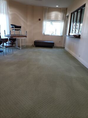 Commercial Carpet Dry Cleaning & Sanitizing in FT Lauderdale, FL (4)