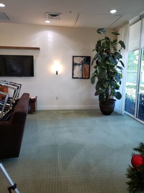 Commercial Carpet Dry Cleaning & Sanitizing in FT Lauderdale, FL (3)