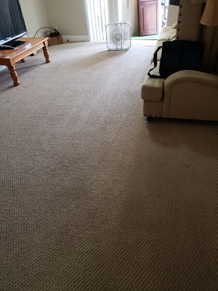 Carpet Cleaning and Sanitizing in Pompano, FL (1)
