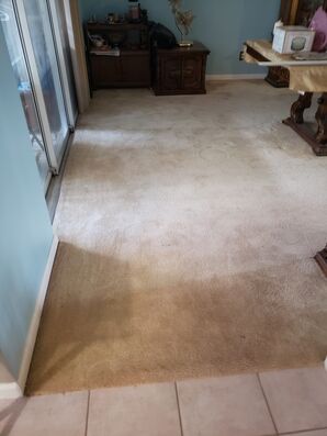 Before & After Carpet Cleaning in Boca Raton, FL (3)