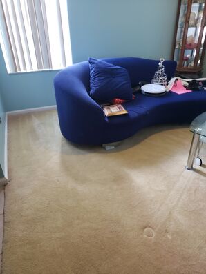 Before & After Carpet Cleaning in Boca Raton, FL (1)