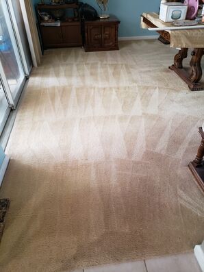 Before & After Carpet Cleaning in Boca Raton, FL (4)