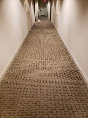 Commercial Carpet Cleaning & Sanitizing in Fort Lauderdale, FL (3)