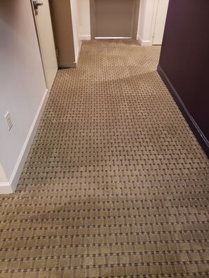 Commercial Carpet Cleaning & Sanitizing in Fort Lauderdale, FL (6)
