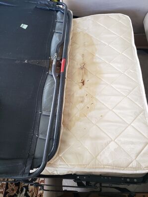 Before & After Mattress Cleaning in Boca Raton, FL (1)
