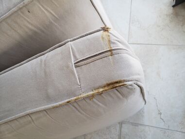 Before & After Upholstery Cleaning in Boca Raton, FL (1)