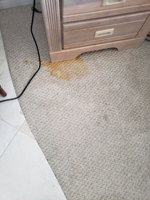 Before & After Carpet Stain Removal in Boca Raton, Fl (1)