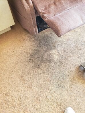 Carpet and Upholstery Cleaning in Lauderdale By the Sea, FL (1)