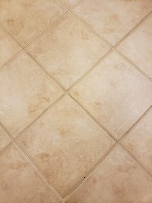 Before and After Tile and Grout Cleaning Services in Fort Lauderdale, FL (2)