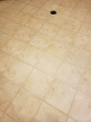 Before and After Tile and Grout Cleaning Services in Fort Lauderdale, FL (4)