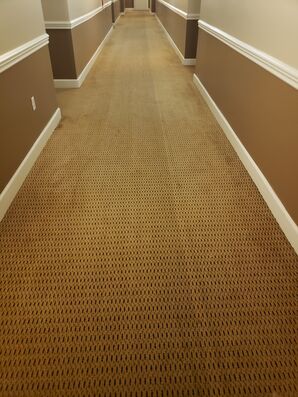 Commercial Carpet Cleaning Services Lauderhill, FL (3)