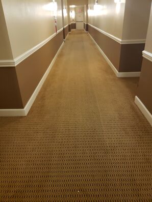 Commercial Carpet Cleaning Services Lauderhill, FL (4)