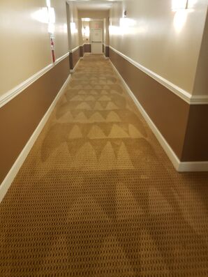 Commercial Carpet Cleaning Services Lauderhill, FL (2)