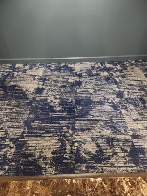 Commercial Carpet Cleaning in Fort Lauderdale, FL (2)