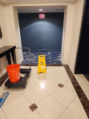 Commercial Carpet Cleaning in Fort Lauderdale, FL (1)