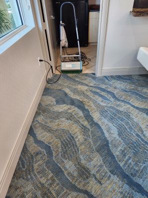 Commercial Dry Carpet Cleaning in Fort Lauderdale, FL (2)