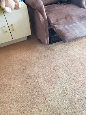 Carpet and Upholstery Cleaning in Lauderdale By the Sea, FL (2)