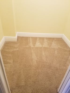 Before & After Carpet Cleaning in Pompano Beach, FL (2)