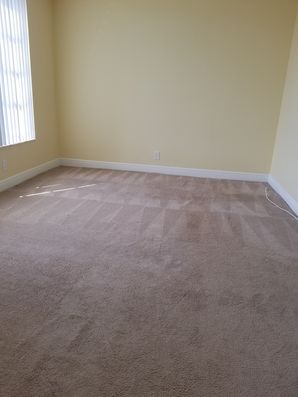 Before & After Carpet Cleaning in Pompano Beach, FL (3)