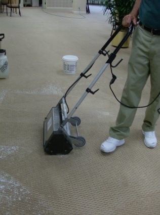 Dry Cleaning of Commercial Carpets
