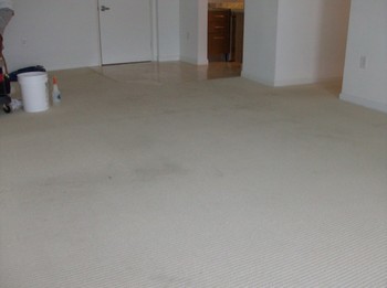 Before and After Carpet Cleaning in a high rise building