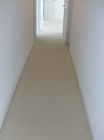 Before and After Carpet Cleaning in a high rise building