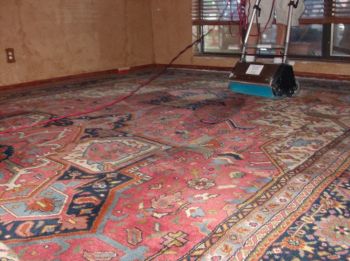 Oriental rug cleaning in Deerfield Beach, FL by Cowell's Carpet Cleaning, Inc..